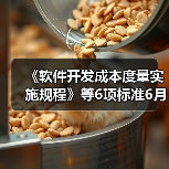 《软件开发成本度量实施规程》等6项标准6月7日实施（图4）