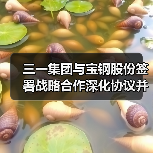 三一集团与宝钢股份签署战略合作深化协议并为联合实验室揭牌（图1）