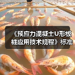 《预应力混凝土U形板桩应用技术规程》标准发布施行（图1）