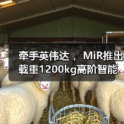 牵手英伟达 ，MiR推出载重1200kg高阶智能化搬运叉车（图3）