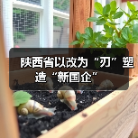 陕西省以改为“刃”塑造“新国企”（图3）