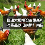 推动大规模设备更新和消费品以旧换新！南昌出台行动方案（图2）