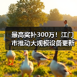最高奖补300万！江门市推动大规模设备更新及企业技术改造（图1）