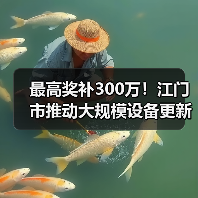 最高奖补300万！江门市推动大规模设备更新及企业技术改造（图2）