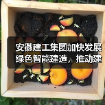 安徽建工集团加快发展绿色智能建造，推动建筑业转型升级（图1）