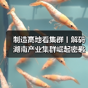 制造高地看集群丨解码湖南产业集群崛起密匙（图1）