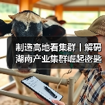 制造高地看集群丨解码湖南产业集群崛起密匙（图3）