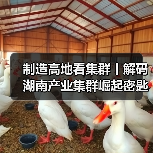 制造高地看集群丨解码湖南产业集群崛起密匙（图4）