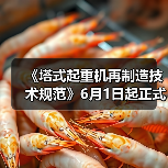 《塔式起重机再制造技术规范》6月1日起正式实施（图2）
