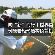 向“新”而行丨世界首例硬岩矩形盾构顶管机掘进隧道贯通（图2）