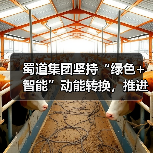 蜀道集团坚持“绿色+智能”动能转换，推进新质生产力发展（图3）