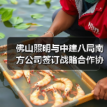 佛山照明与中建八局南方公司签订战略合作协议（图1）