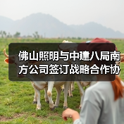 佛山照明与中建八局南方公司签订战略合作协议（图4）