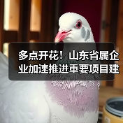多点开花！山东省属企业加速推进重要项目建设（图1）
