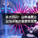 多点开花！山东省属企业加速推进重要项目建设（图3）
