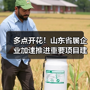 多点开花！山东省属企业加速推进重要项目建设（图4）