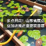 多点开花！山东省属企业加速推进重要项目建设（图2）