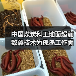 中国煤炭科工地面超前致裂技术为孤岛工作面回采“减压”（图2）