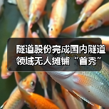 隧道股份完成国内隧道领域无人摊铺“首秀”（图1）