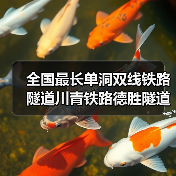 全国最长单洞双线铁路隧道川青铁路德胜隧道贯通（图4）