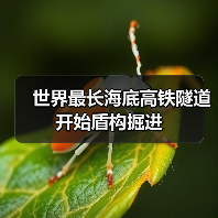世界最长海底高铁隧道开始盾构掘进（图1）