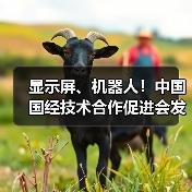 显示屏、机器人！中国国经技术合作促进会发布八项标准（图2）