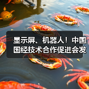 显示屏、机器人！中国国经技术合作促进会发布八项标准（图3）