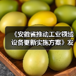 《安徽省推动工业领域设备更新实施方案》发布（图4）