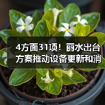 4方面31项！丽水出台方案推动设备更新和消费品以旧换新（图1）