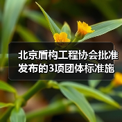 北京盾构工程协会批准发布的3项团体标准施行（图1）