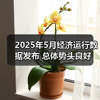 2025年5月经济运行数据发布 总体势头良好（图4）