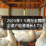 2025年1―5月份全国固定资产投资增长3.7%（图3）