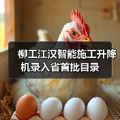 柳工江汉智能施工升降机录入省首批目录(图1) 柳工江汉智能施工升降机录入省首批目录(图1)