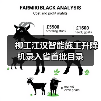 柳工江汉智能施工升降机录入省首批目录(图4) 柳工江汉智能施工升降机录入省首批目录(图4)