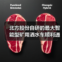 北方股份自研的最大智能型矿用洒水车顺利通过验收(图1) 北方股份自研的最大智能型矿用洒水车顺利通过验收(图1)