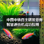 中国中铁自主研发悬臂智慧造桥机成功投用(图1) 中国中铁自主研发悬臂智慧造桥机成功投用(图1)