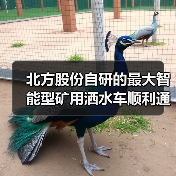 北方股份自研的最大智能型矿用洒水车顺利通过验收(图4) 北方股份自研的最大智能型矿用洒水车顺利通过验收(图4)