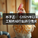 苏子孟:《2025年以来工程机械行业运行情况与全年展望》(图3) 苏子孟:《2025年以来工程机械行业运行情况与全年展望》(图3)