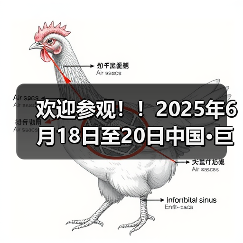 欢迎参观!!2025年6月18日至20日中国·巨鹿特色机件产品展览会观众预登记正式开启!!(图3) 欢迎参观!!2025年6月18日至20日中国·巨鹿特色机件产品展览会观众预登记正式开启!!(图3)