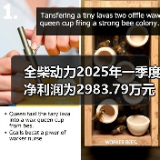 全柴动力2025年一季度净利润为2983.79万元,同比增长17.65%(图4) 全柴动力2025年一季度净利润为2983.79万元,同比增长17.65%(图4)