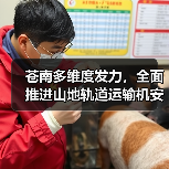 苍南多维度发力,全面推进山地轨道运输机安全生产专项治理(图2) 苍南多维度发力,全面推进山地轨道运输机安全生产专项治理(图2)