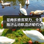 苍南多维度发力,全面推进山地轨道运输机安全生产专项治理(图4) 苍南多维度发力,全面推进山地轨道运输机安全生产专项治理(图4)