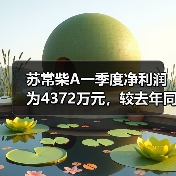 苏常柴A一季度净利润为4372万元，较去年同期增长35%（图1）