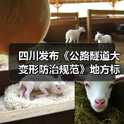 四川发布《公路隧道大变形防治规范》地方标准(图3) 四川发布《公路隧道大变形防治规范》地方标准(图3)