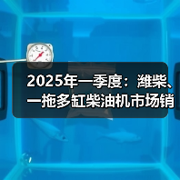 2025年一季度:潍柴、一拖多缸柴油机市场销量靠前(图2) 2025年一季度:潍柴、一拖多缸柴油机市场销量靠前(图2)