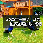 2025年一季度:潍柴、一拖多缸柴油机市场销量靠前(图1) 2025年一季度:潍柴、一拖多缸柴油机市场销量靠前(图1)