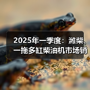2025年一季度:潍柴、一拖多缸柴油机市场销量靠前(图3) 2025年一季度:潍柴、一拖多缸柴油机市场销量靠前(图3)