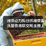 潍柴动力拟分拆潍柴雷沃至香港联交所主板上市(图2) 潍柴动力拟分拆潍柴雷沃至香港联交所主板上市(图2)