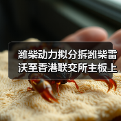 潍柴动力拟分拆潍柴雷沃至香港联交所主板上市(图3) 潍柴动力拟分拆潍柴雷沃至香港联交所主板上市(图3)