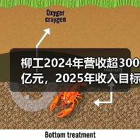 柳工2024年营收超300亿元,2025年收入目标为346亿元(图1) 柳工2024年营收超300亿元,2025年收入目标为346亿元(图1)